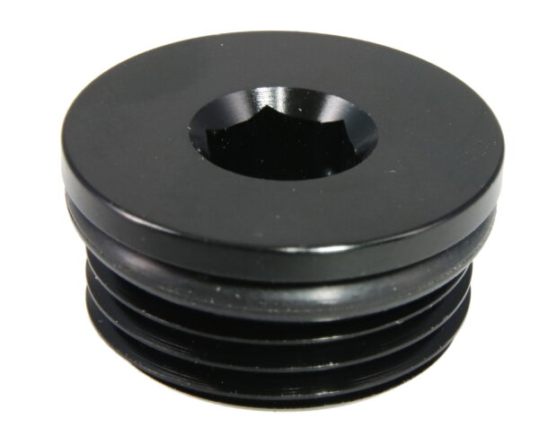 Raceworks AN In Hex O-Ring Plug