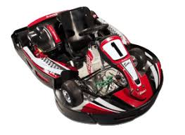 10 Refurbished Sodi LR4 / Honda GX160 Junior Rental Kart Fleet.