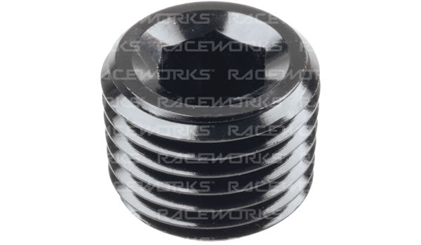 Raceworks In Hex NPT Plug