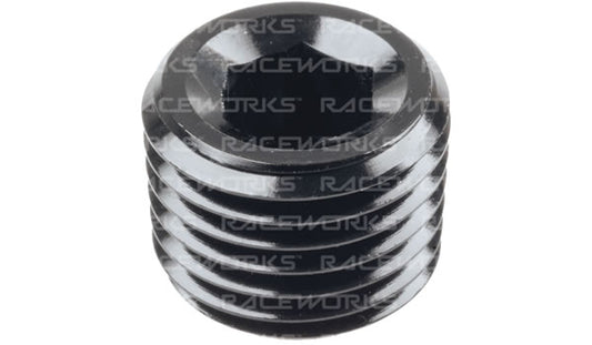 Raceworks In Hex NPT Plug