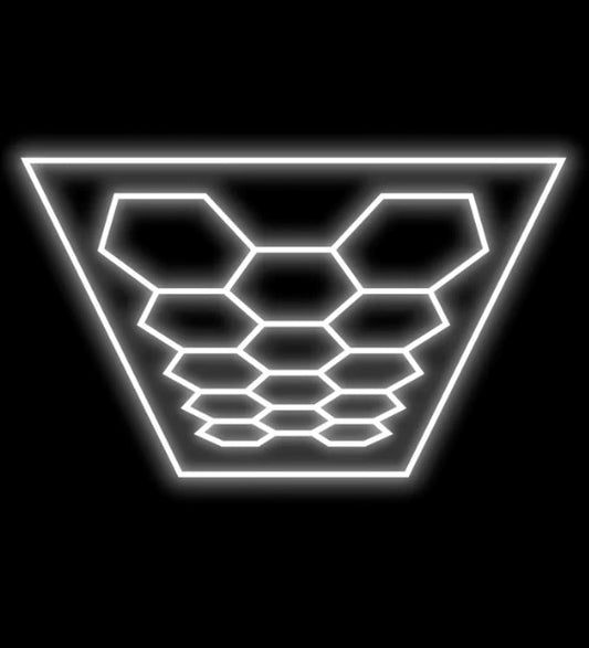 HEX LED "Garage" Lighting Kits (4800mm x 2400mm) with Rectangle Surround